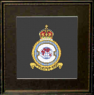 117 Squadron RAF Badge/Crest 