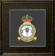 13 Squadron RAF Badge/Crest