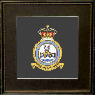 RAF Tactical Supply Wing Badge/Crest 