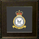 Aden Protectorate Levies RAF Badge/Crest 