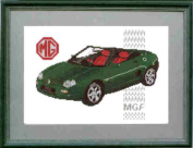 MGF Car