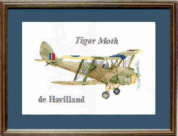 Tiger Moth